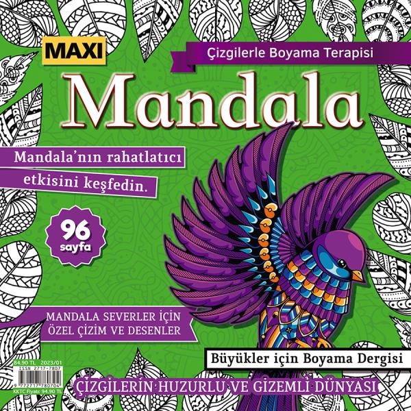 Maxi Mandala Coloring Therapy With Lines Issue 9