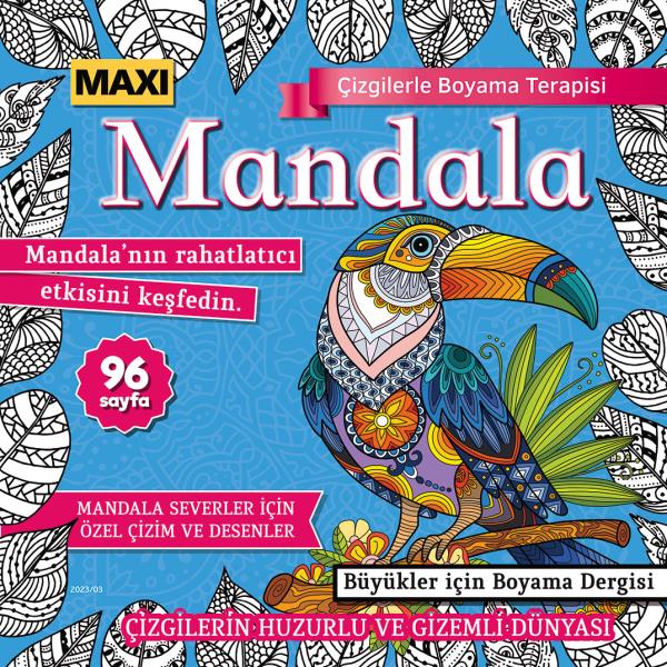 Maxi Mandala Coloring Therapy With Lines Issue 11
