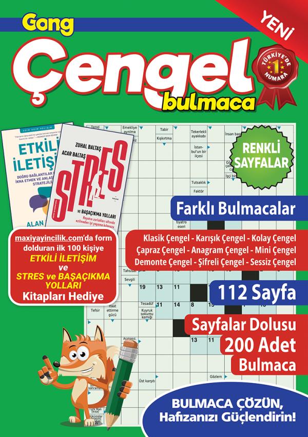 Gong Çengel Bulmaca 23