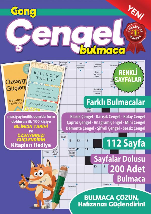Gong Çengel Bulmaca 23